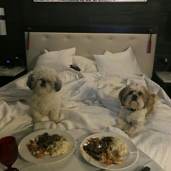 Meet your Posher, Donna - Picture 3 of 4